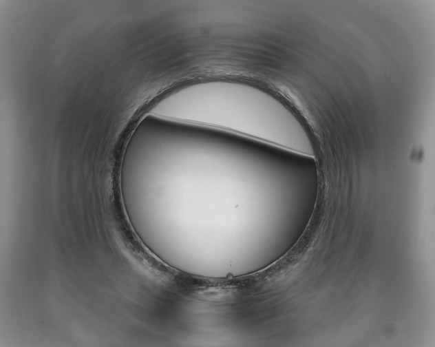 X0000090760447200707201057