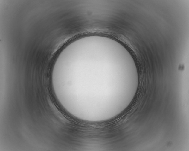 X0000090760448200707201057