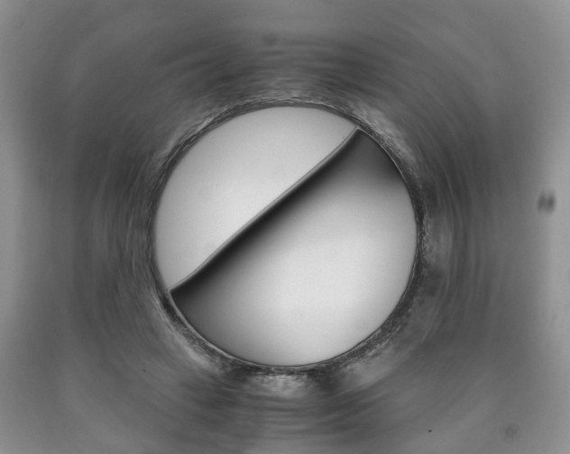 X0000090760449200707201057