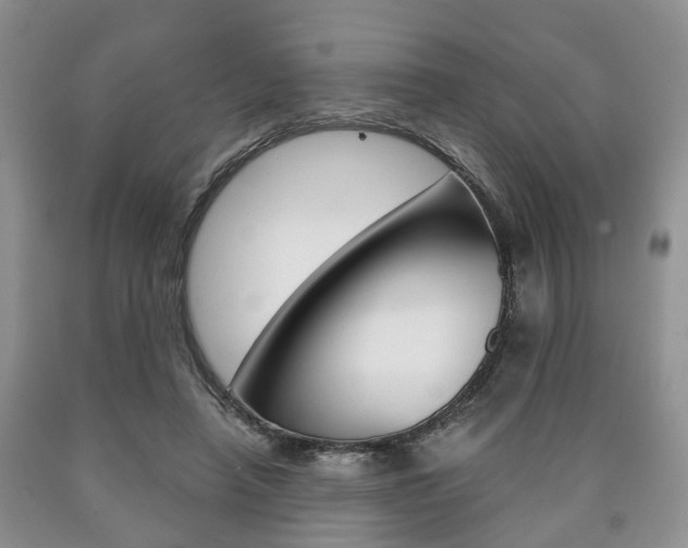 X0000090760450200707201057