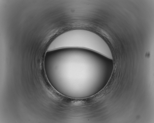 X0000090760452200707201057