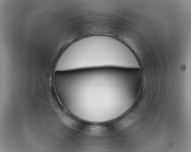X0000090760453200707201057