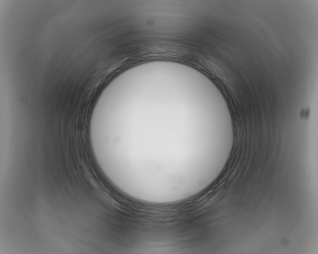 X0000090760456200707201057