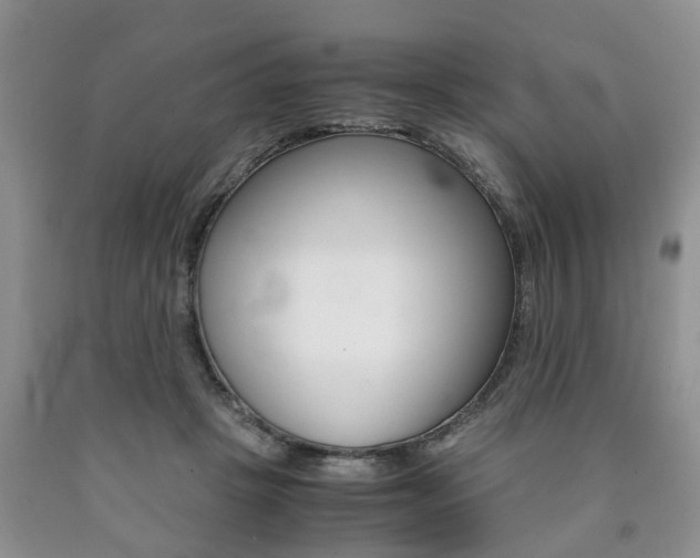 X0000090760457200707201057