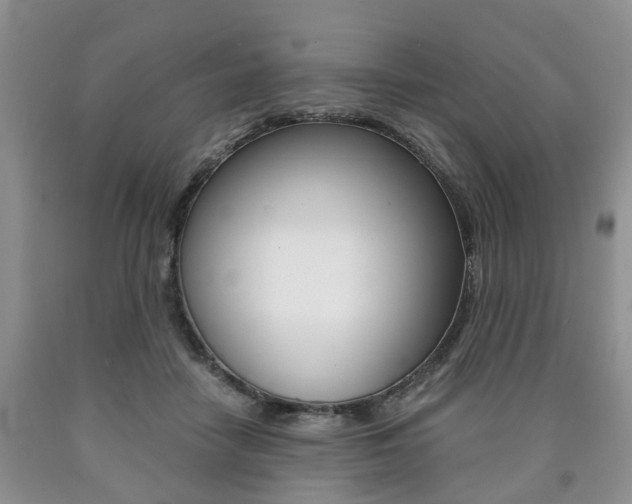 X0000090760458200707201057