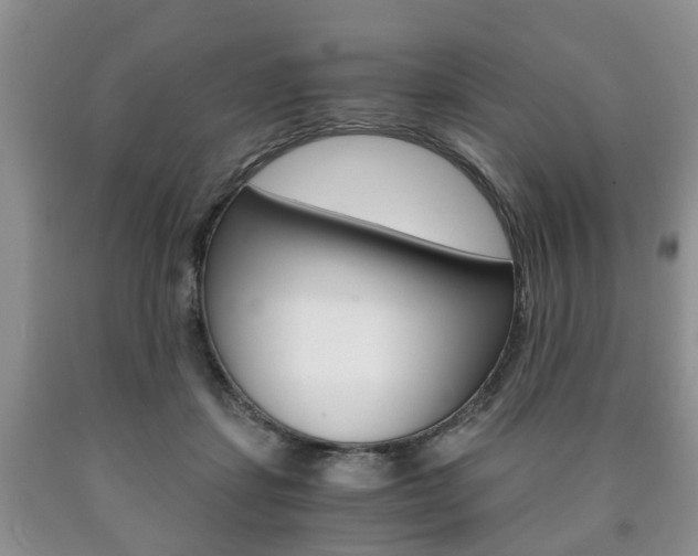 X0000090760459200707201057