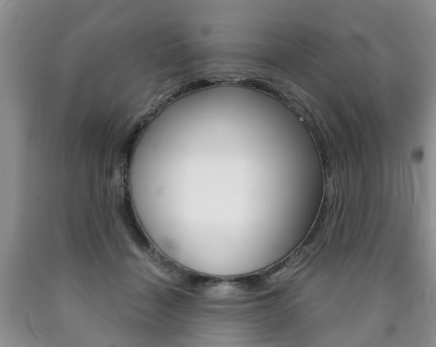 X0000090760460200707201057