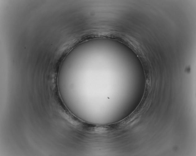 X0000090760462200707201057