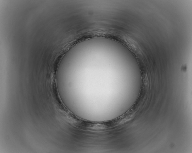 X0000090760463200707201057
