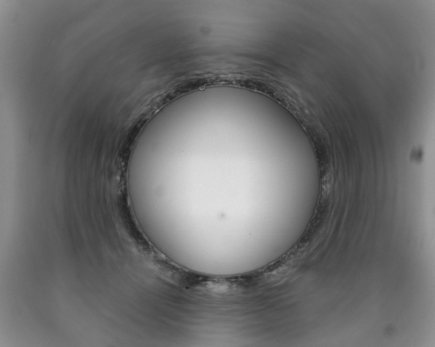 X0000090760464200707201057