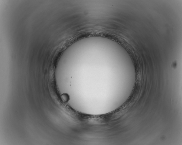 X0000090760468200707201057