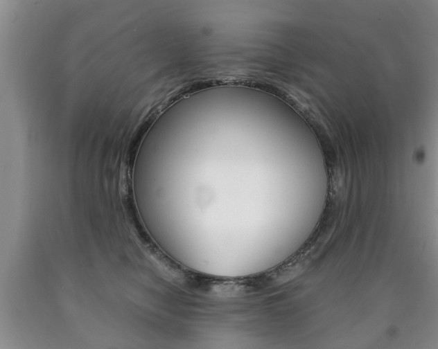 X0000090760470200707201057