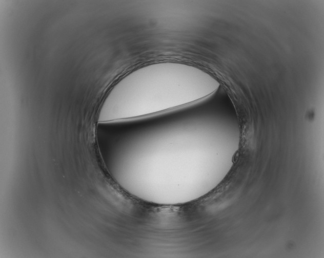 X0000090760474200707201057