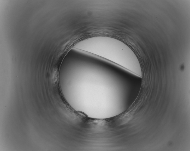 X0000090760478200707201057