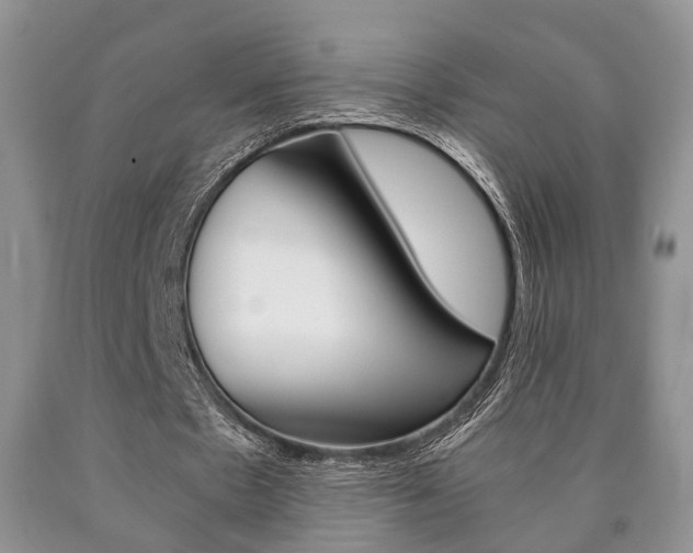 X0000090760481200707201057
