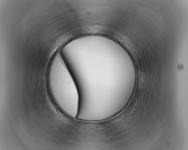 X0000090760482200707201057
