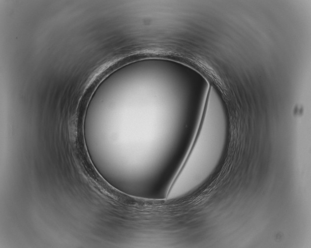 X0000090760484200707201057