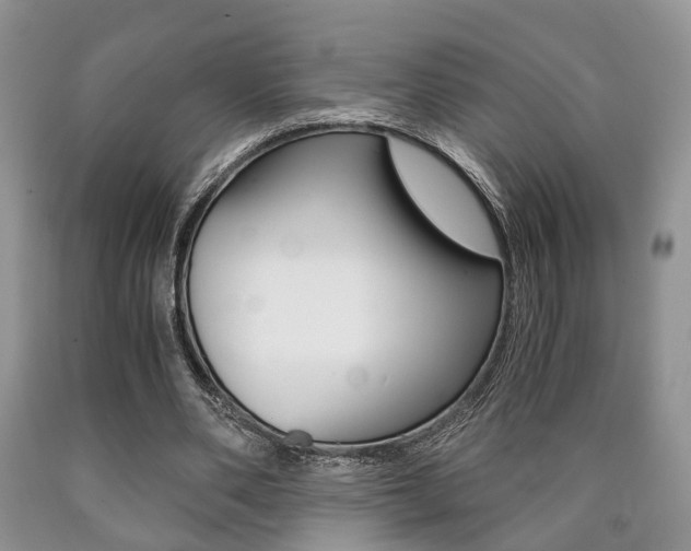 X0000090760486200707201057