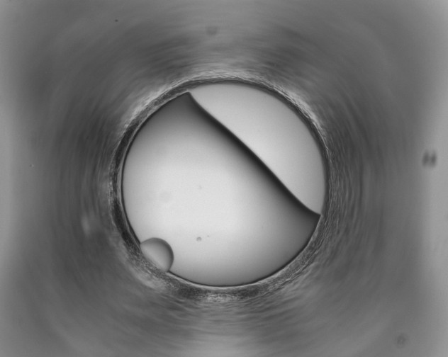 X0000090760487200707201057