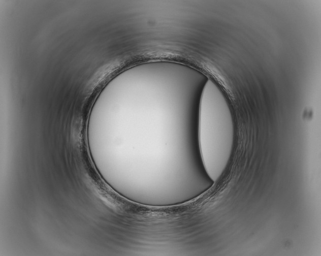 X0000090760490200707201057