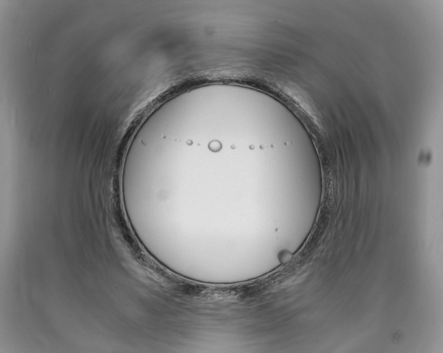 X0000090760491200707201057