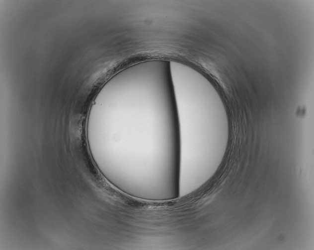 X0000090760495200707201057