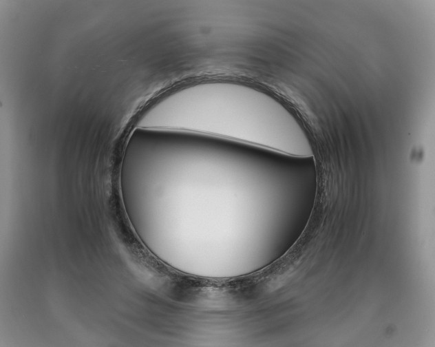 X0000090760496200707201057