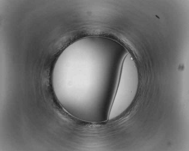 X0000090760497200707201057