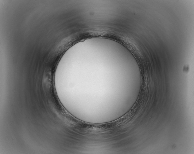 X0000090760498200707201057