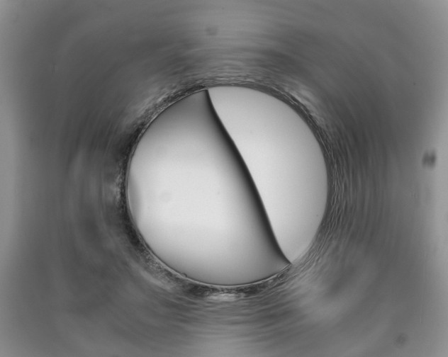 X0000090760499200707201057