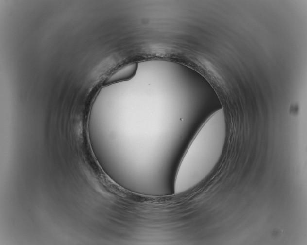 X0000090760500200707201057
