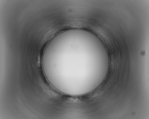 X0000090760502200707201057