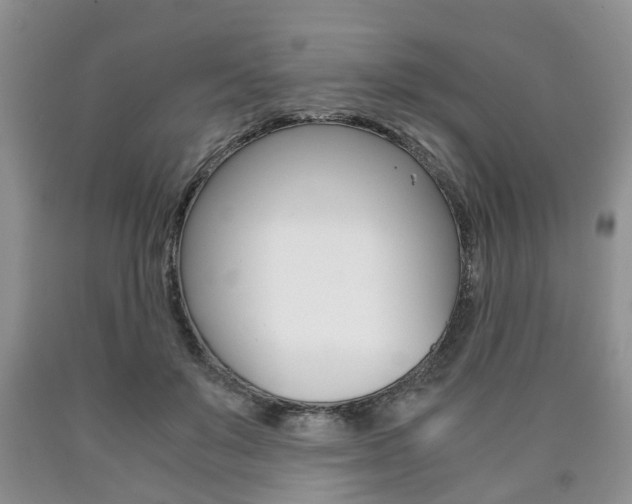 X0000090760503200707201057