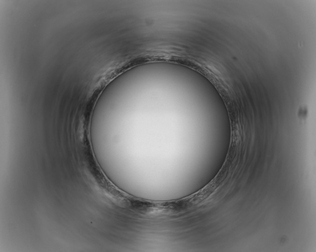 X0000090760504200707201057
