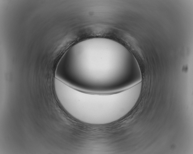 X0000090760505200707201057
