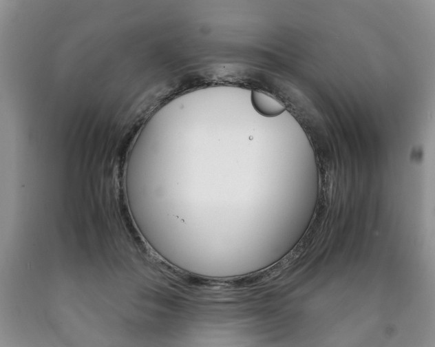 X0000090760506200707201057