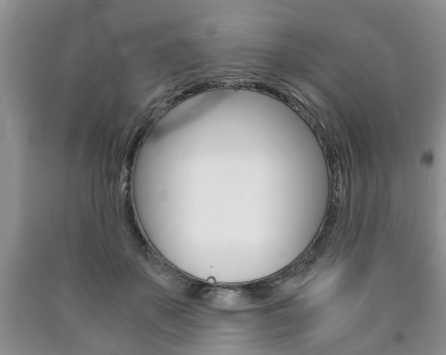 X0000090760507200707201056