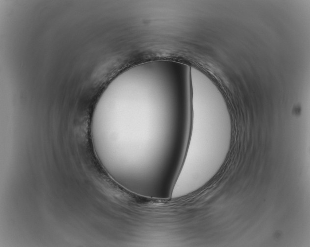 X0000090760509200707201056