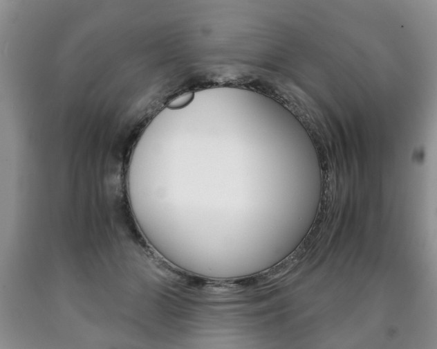 X0000090760510200707201056