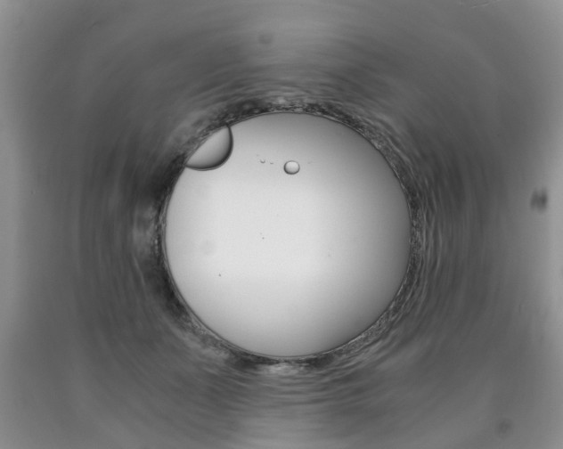 X0000090760511200707201056