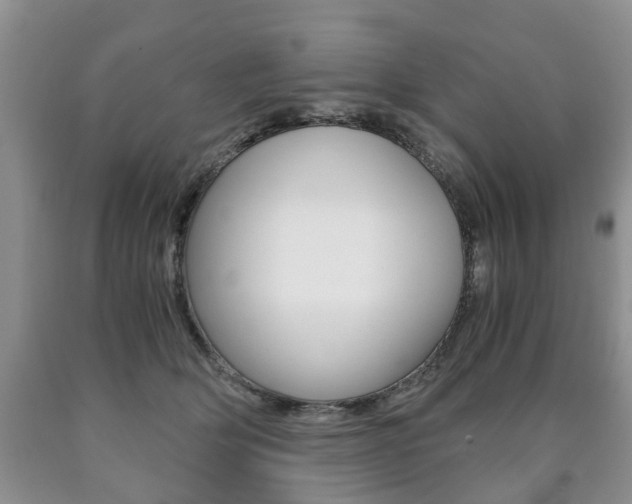 X0000090760514200707201056