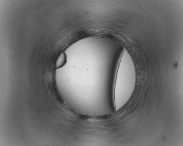 X0000090760515200707201056