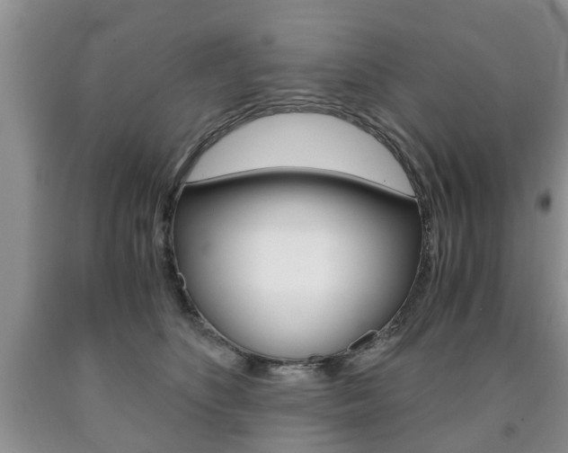 X0000090760516200707201056