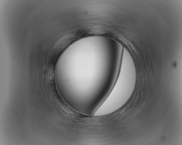 X0000090760517200707201056