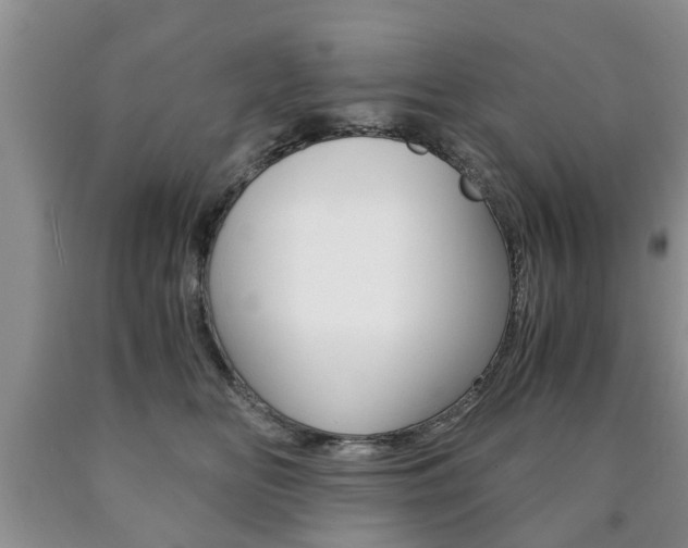 X0000090760518200707201056