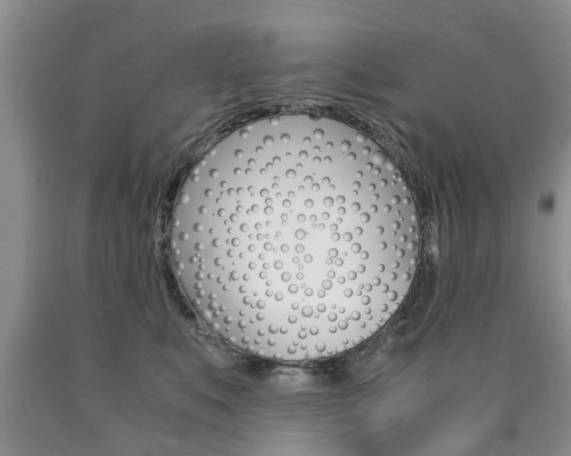 X0000090760519200707201056