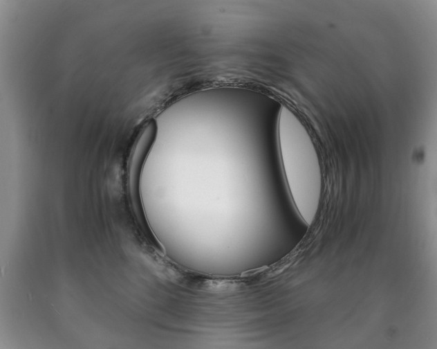 X0000090760520200707201056