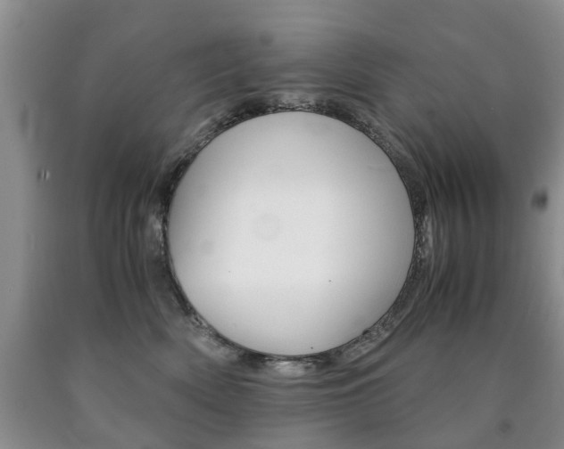 X0000090760522200707201056