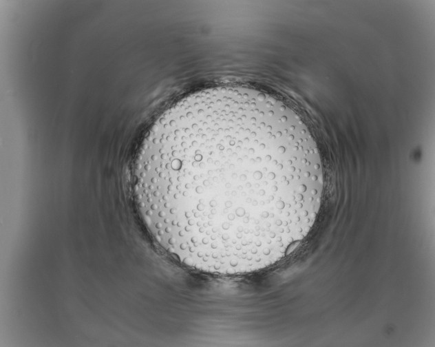 X0000090760523200707201056