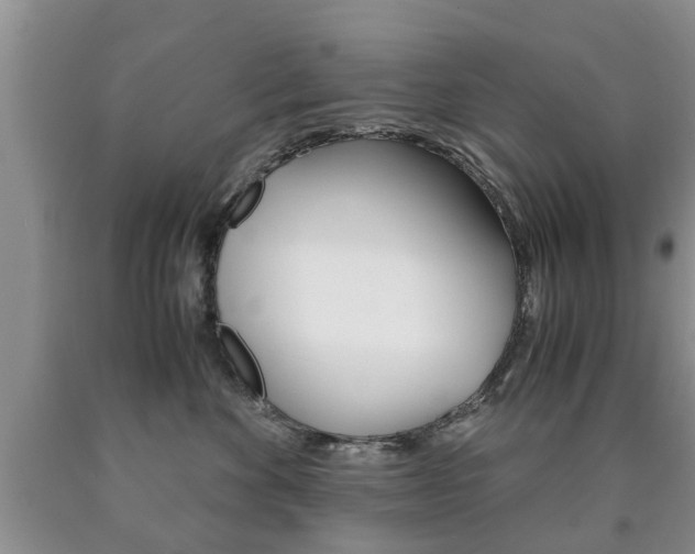 X0000090760524200707201056